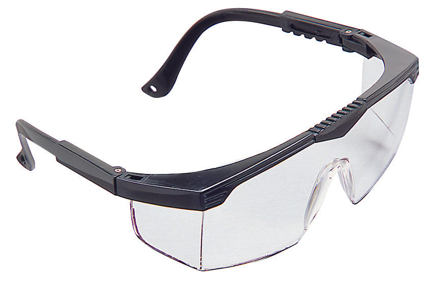 MSA Sierra Protective Eyewear (12-PACK) – SafeDesign Apparel Ltd